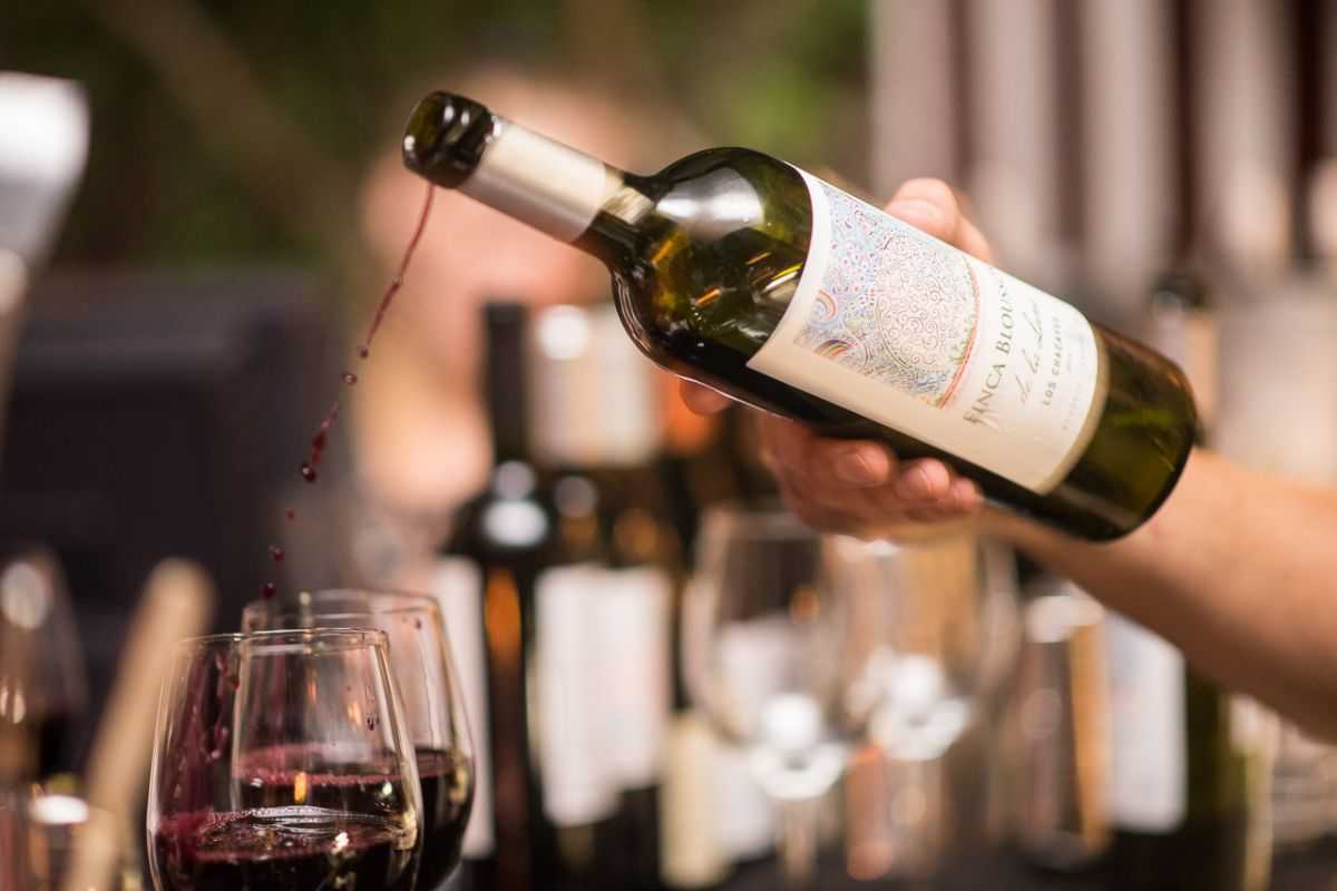 Nueva edición de otoño de Come Wine With Us, un evento pop-up para los amantes del vino, pensado para disfrutar vinos por copas
