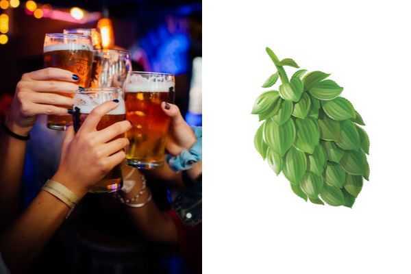 Cerveceros hacen cruzada para que el lúpulo sea el emoji de la cerveza artesanal