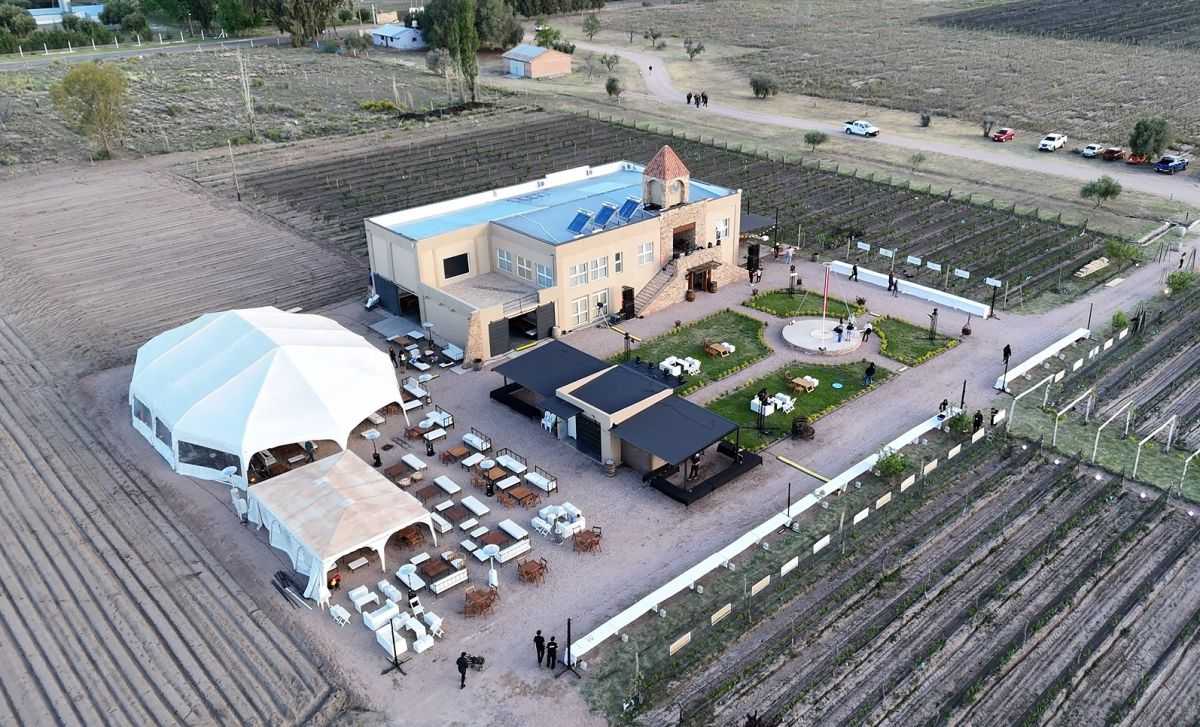 Undécima edición de la Fiesta Provincial de la Flor de la Vid
