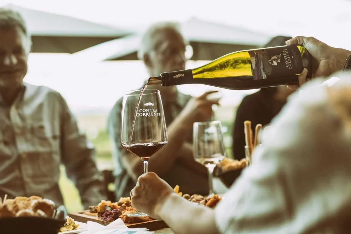 Bodega Contra Corriente presenta las nuevas añadas de sus vinos de Trevelín
