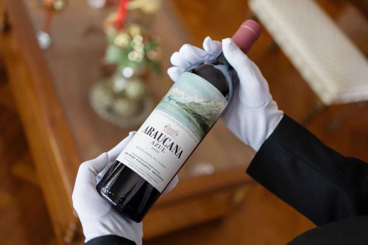 El vino más caro de la Argentina nace en la Patagonia