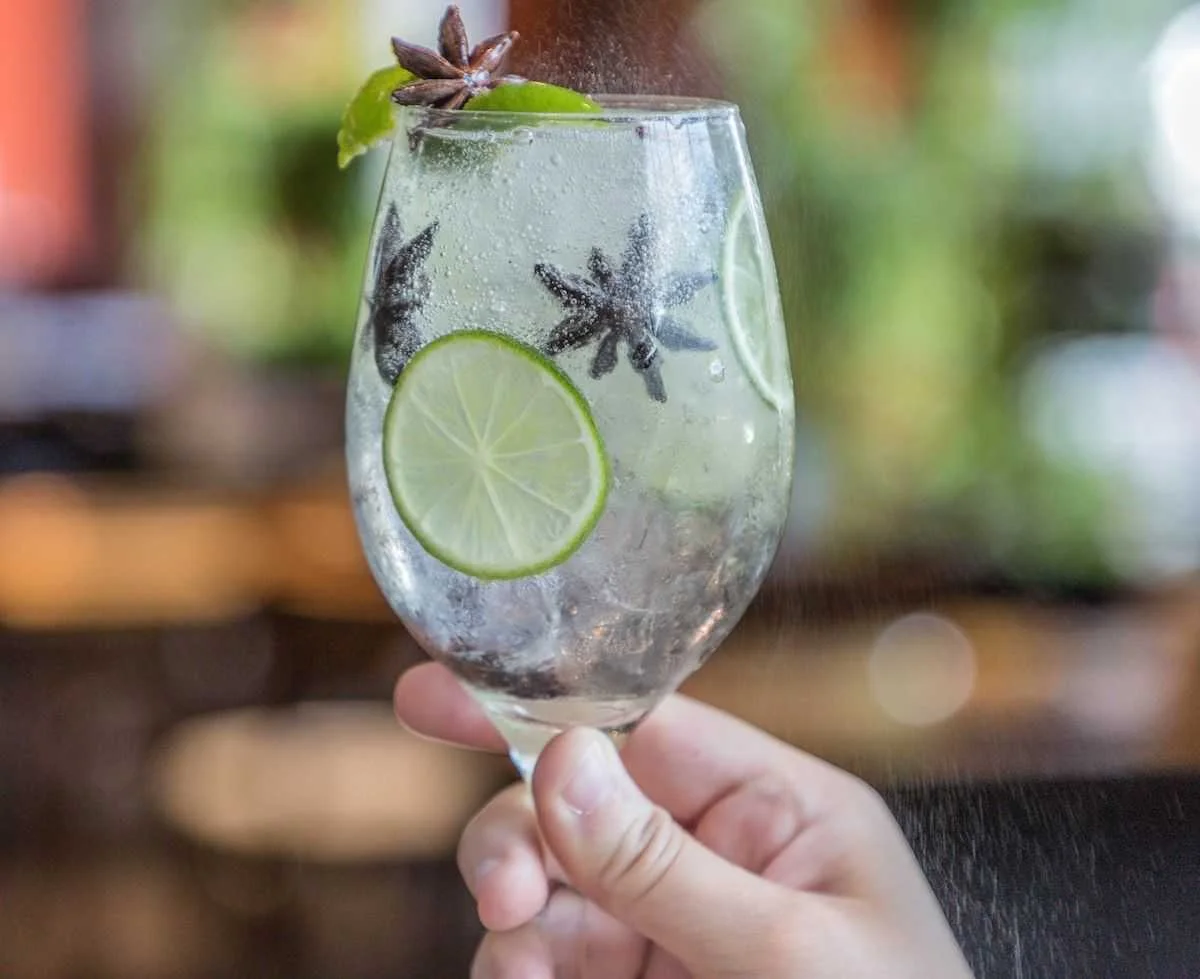 GIN TONIC BOTANIC