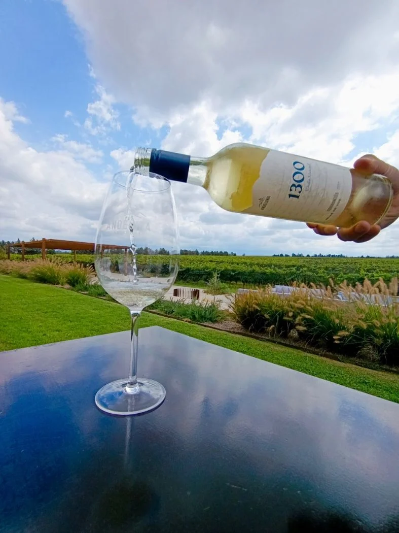 Nace 1300 Torrontés Dulce Natural, el primer Vino Bajo en Alcohol de Andeluna