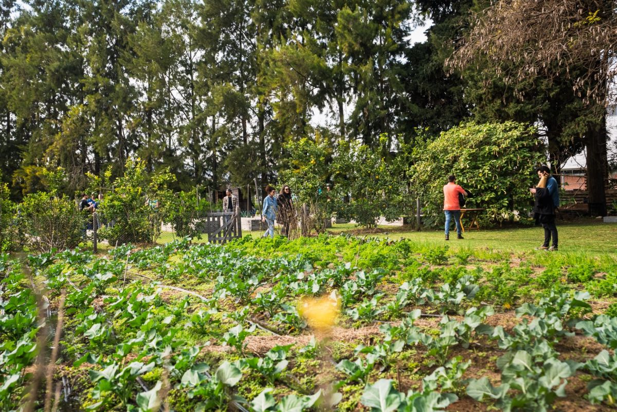 &ldquo;COSECHAR ENCUENTROS&rdquo;: ORNO CELEBRA LA PRIMAVERA EN LA HUERTA DE MEZCLA CON UNA JORNADA AL AIRE LIBRE