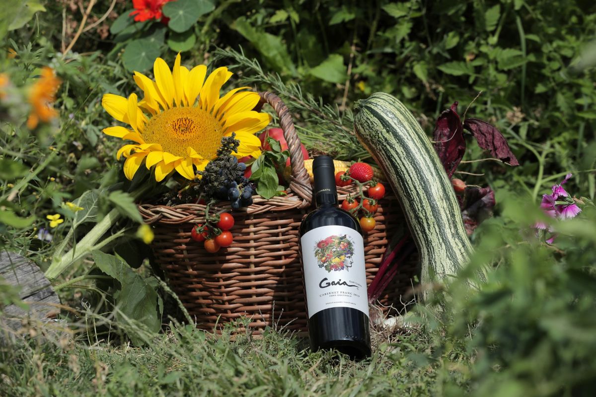 Vino Argentino: una expresión de nuestra Madre Tierra Gaia Cabernet Franc Orgánico & Biodinámico 2022