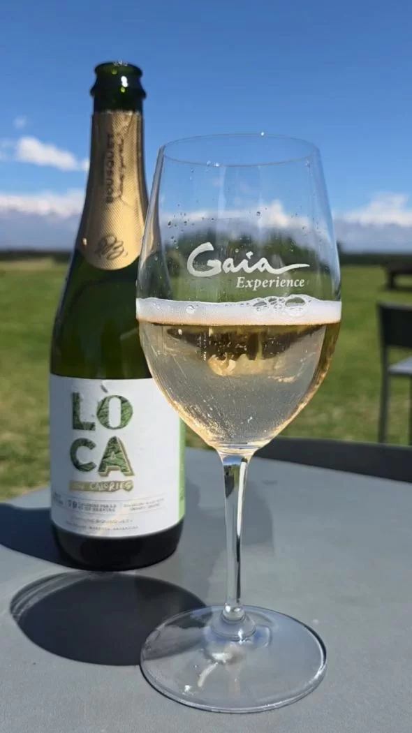 Espumantes sugeridos para las fiestas