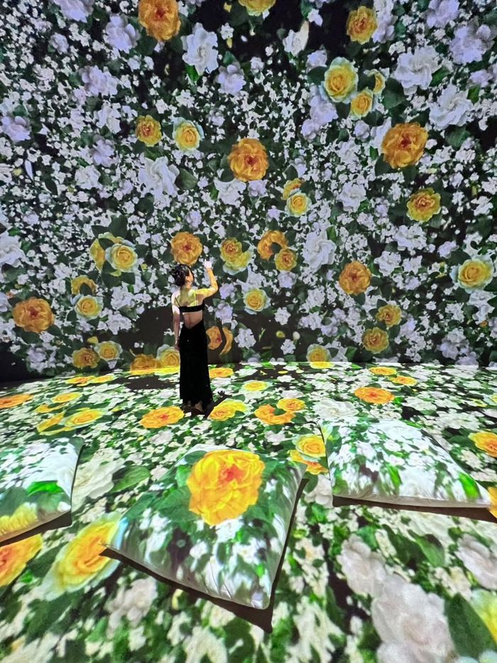 MONET INMERSIVO: EXITO TOTAL